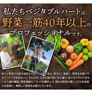 ベジタブルハート 野菜セット 【からだ想いの旬...の詳細画像2