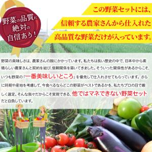 ベジタブルハート 野菜セット 【からだ想いの旬...の詳細画像3
