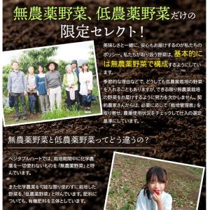 ベジタブルハート 野菜セット 【からだ想いの旬...の詳細画像4