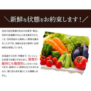 ベジタブルハート 野菜セット 【からだ想いの旬...の詳細画像5