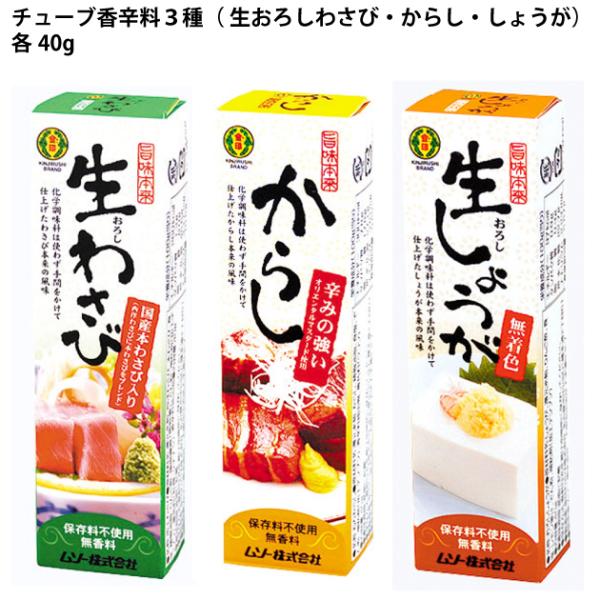 調味料 ムソー 旨味本来　生おろしわさび・からし・しょうが　チューブ入　40g 各3本 送料込