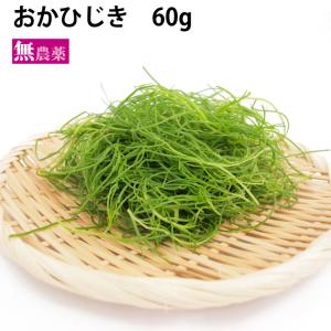 おかひじき 野菜 の商品一覧 食品 通販 Yahoo ショッピング