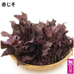 無農薬 赤じそ 赤紫蘇  150g×4袋 送料込