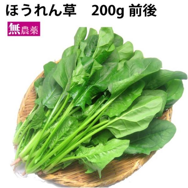 ほうれん草  無農薬栽培　 15把 　送料込