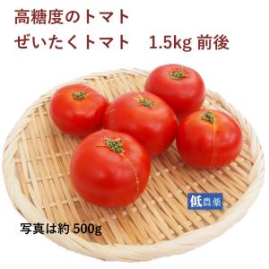 高糖度　ぜいたくトマト　1.5kg前後 低農薬栽培　埼玉産 　送料込｜vegetable-heart