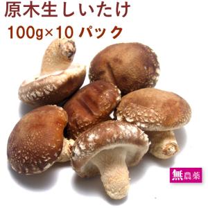 国産 きのこ 生しいたけ 生椎茸 無農薬 1パック 原木栽培 生椎茸 国産 きのこ 生しいたけ 生椎茸 無農薬 1パック 原木栽培 生椎茸