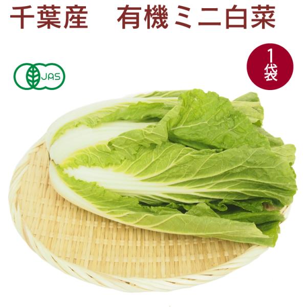 有機ミニ白菜　1個 無農薬栽培 送料別 ポイント消化 食品 