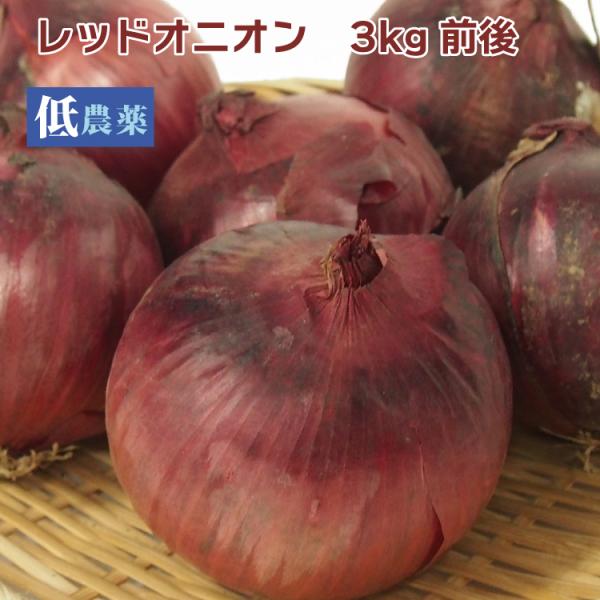 レッドオニオン　低農薬栽培 3ｋg前後 送料込