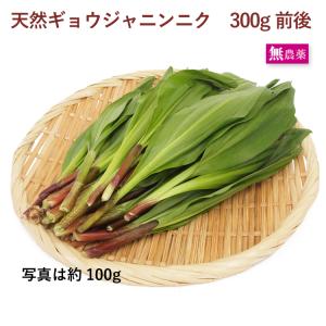 北海道産 行者にんにく 行者ニンニク 300g(100g×3P）（大きさバラつき