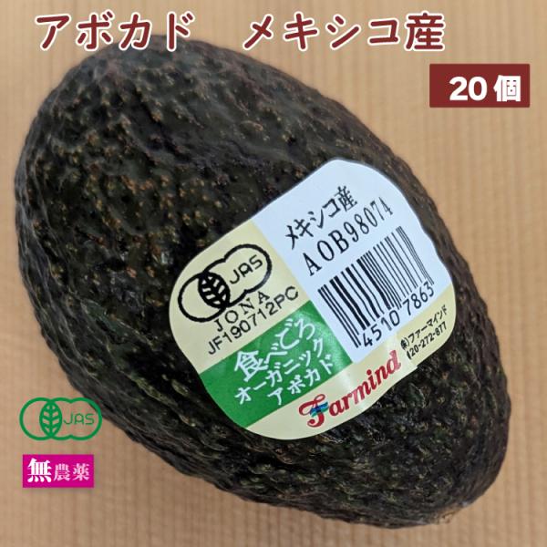 有機アボカド メキシコ産 無農薬栽培 20個　送料込　農薬・化学肥料不使用で育てた安心品質　※10/...