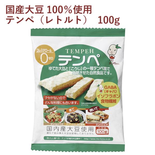 マルシン食品 テンペ（レトルト） 100g 30個 送料込