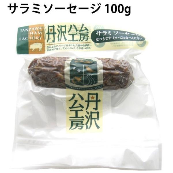 送料込 丹沢ハム工房 無添加 サラミソーセージ　100g 20パック 冷凍