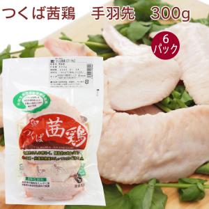 国産 鶏肉　エコかざ鶏　手羽先　300g　6パック　送料込｜vegetable-heart