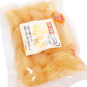 上沖産業 宮崎県産ぴり辛らっきょう 100g ...の詳細画像3