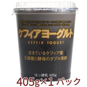 タカハシ乳業 ケフィアヨーグルト 405g 1個