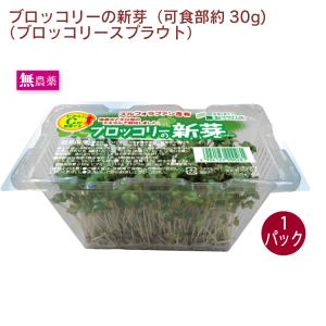 ブロッコリースプラウト　1パック 長野県産 農薬 化学肥料不使用