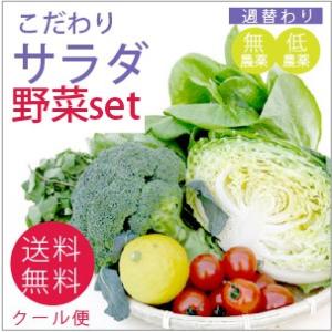 旬の野菜 野菜セット 無農薬 低農薬 こだわり サラダ野菜セット6品目　送料込 旬 ギフト 贈り物 ...