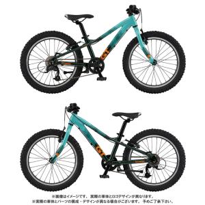 (特典付き!)GT ジーティー STOMPER...の詳細画像2