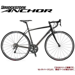 (送料無料)(特典付)ロードレーサー 2018年モデル AN...