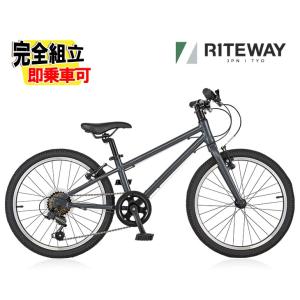 RITEWAY ライトウェイ ZIT 20 ジット20 マットブラックグレー 6段変速 ジュニアバイク