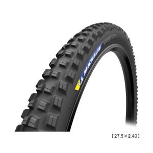 SCHWALBE（シュワルベ） 2本セット SCHWALBE Ice Spiker Pro TLE 27.5