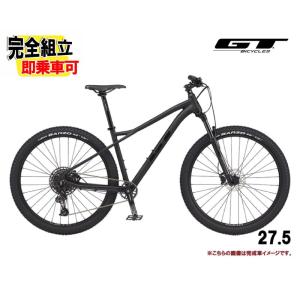 GT マウンテンバイク AVALANCHE EXPERT V2 29 （アバランチェ