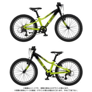 (特典付き!)GT ジーティー STOMPER...の詳細画像2