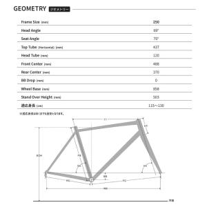 LOUIS GARNEAU ルイガノ J20 ...の詳細画像2