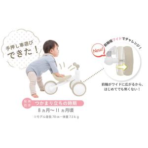 ディーバイク ミニ ワイド(D-Bike mi...の詳細画像5