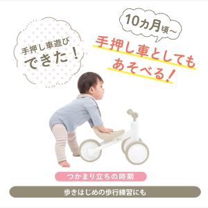 包装OK♪ディーバイクミニ ワイド ブルーム ...の詳細画像2