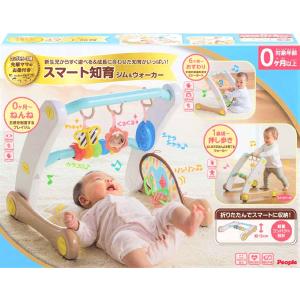 タカラトミー（TAKARA TOMY） ディズニー えらべる回転 6WAYジムに