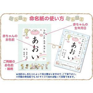 ネコポス→送料無料(代引決済不可)★手を汚さず...の詳細画像5