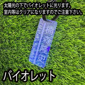 ゴルフ ネームプレート タグ レーザー刻印 名...の詳細画像4
