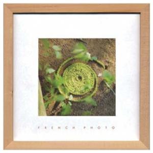 写真 アート French Photography フレンチフォトグラフィー Green Snake 美工社 ZFP-51909