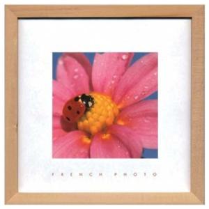 写真 アート French Photography Lady bird フレンチフォトグラフィー 美工社