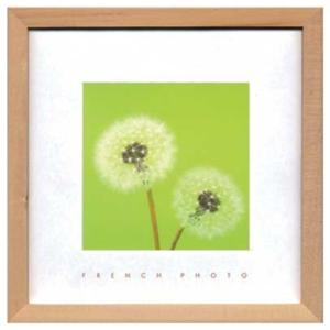 写真 アート French Photography フレンチフォトグラフィー Dandelions 美工社 ZFP-51913