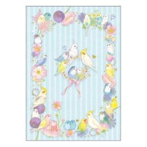 横罫ノート A5ノート サンリオ シナモロール たけいみき パステル