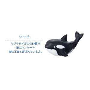 はし置き まりん箸置き るんるんまりん シャチ...の詳細画像2