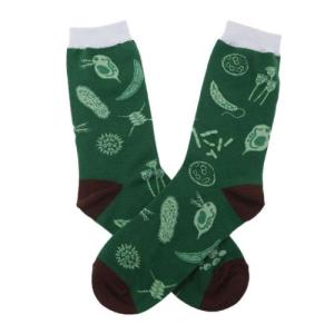 靴下 女性用靴下 微生物学 STUDY HOLIC Green Flash