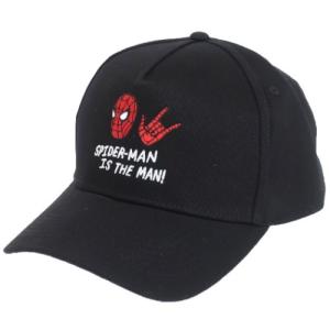 ベースボールキャップ 帽子 マーベル MARVEL スパイダーマン ノーウェイ ホーム インロック｜velkommen