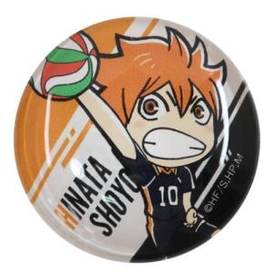 ハイキュー グッズ 烏野 ボールの商品一覧 通販 Yahoo ショッピング