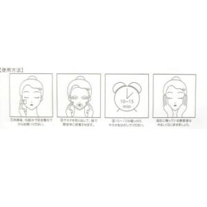 シート状保湿パック フェイスパック DAISY...の詳細画像1