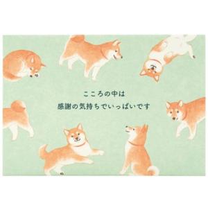 グリーティングカード 二つ折りポップアップカード 立体 しっぽを振る柴犬 いぬ サンリオ 感謝 メッセージカード