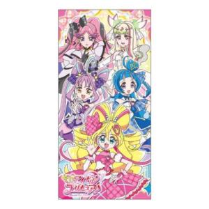 ぽち袋 札用ポチ袋 2枚セット プリキュア キミとアイドルプリキュア サンスター文具 お年玉 子供 お正月 アニメキャラクター