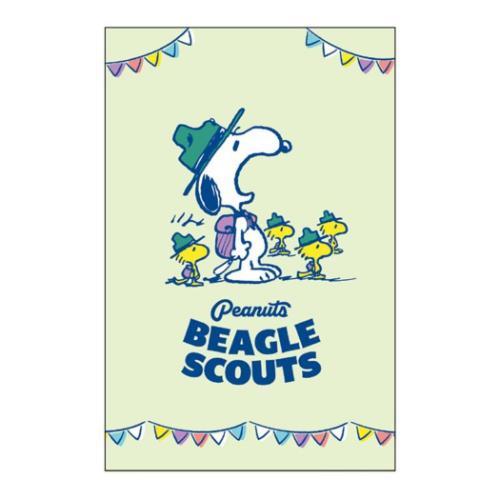 レギュラーポチ袋 3枚セット ぽち袋 スヌーピー ビーグルスカウト ピーナッツ サンスター文具