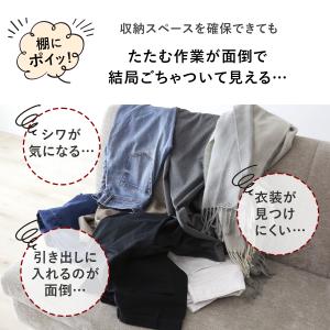 スラックスハンガー ズボンハンガー ハンガーラ...の詳細画像4
