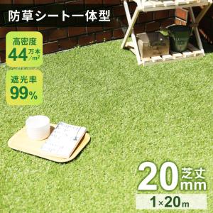 人工芝 ロール 1m×20m 芝丈20mm リアル人工芝 芝生 マット U字ピン46本付 幅1m リアル 人口芝生 超高密度 遮光 除草不要 ベランダ 芝生ロール ブリスク