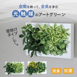人工植物 観葉植物 光触媒 造花 植物 フェイク...の商品画像