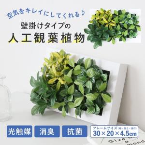 人工植物 観葉植物 光触媒 造花 植物 フェイ...の詳細画像1