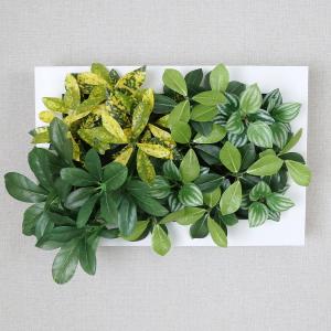 人工植物 観葉植物 光触媒 造花 植物 フェイ...の詳細画像2